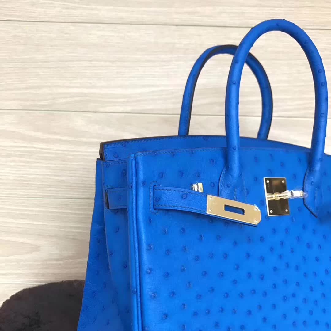 Hermes Birkin Bags